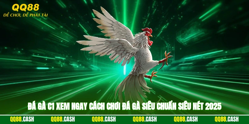 Đá Gà C1 – Xem Ngay Cách Chơi Đá Gà Siêu Chuẩn Siêu Nét 2025